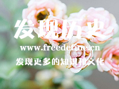 云南虫谷中的张赢川是谁