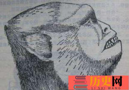 蒙古野人阿尔马斯之谜 阿尔马斯人真的存在吗？