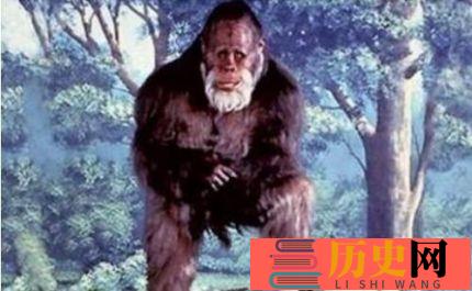 蒙古野人阿尔马斯之谜 阿尔马斯人真的存在吗？